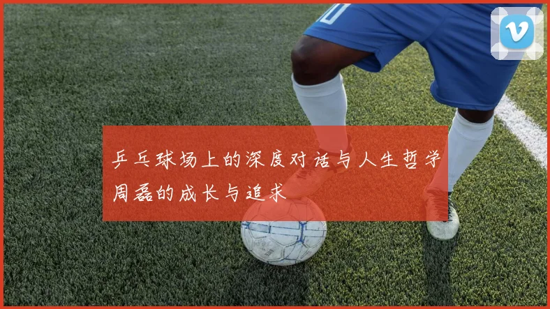 乒乓球场上的深度对话与人生哲学周磊的成长与追求