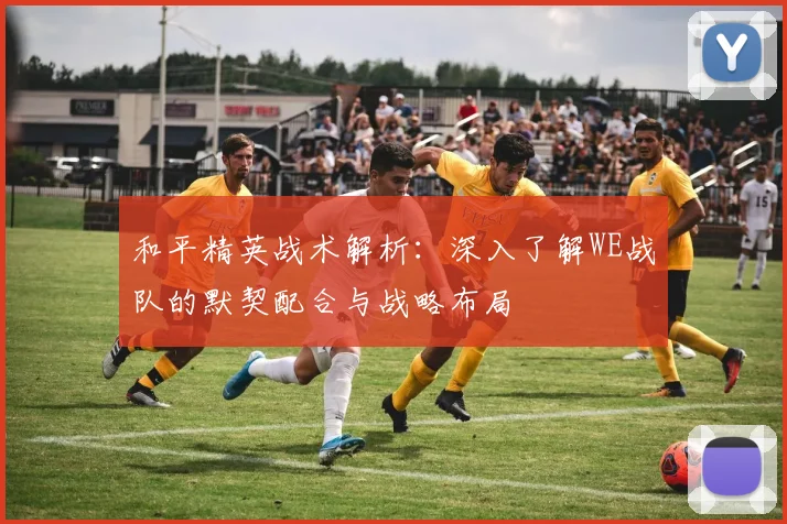 和平精英战术解析：深入了解WE战队的默契配合与战略布局
