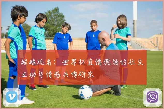 超越观看：世界杯直播现场的社交互动与情感共鸣研究