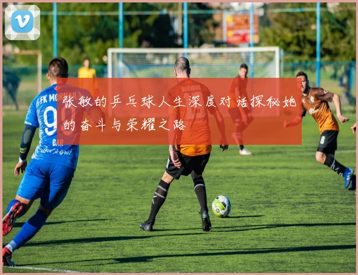 张敏的乒乓球人生深度对话探秘她的奋斗与荣耀之路